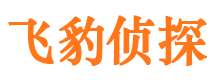 建始市调查取证